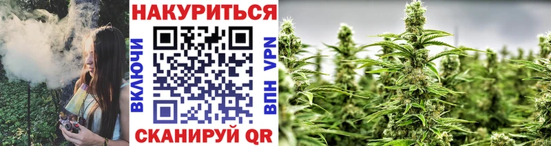 Где купить наркоту Малая Вишера COCAIN  Псилоцибиновые грибы  ГАШ  АМФ  МЕФ  APVP 