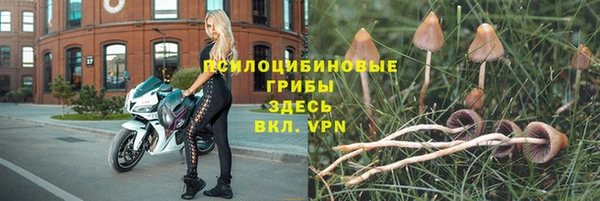 MDMA Арсеньев