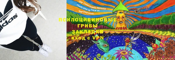 стаф Армянск