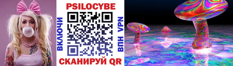 Галлюциногенные грибы Psilocybe  Малая Вишера 
